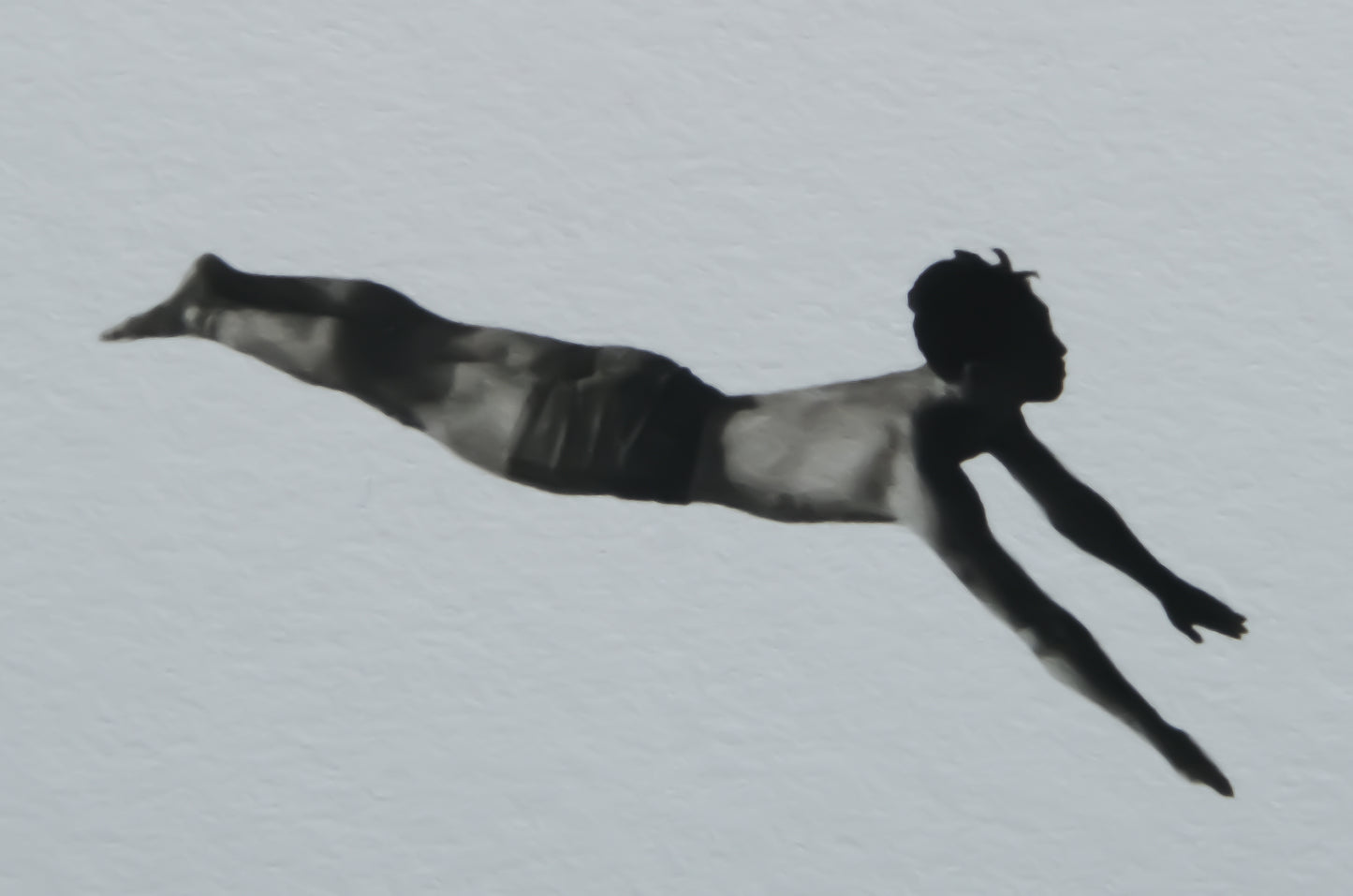 DIVER PRINT 1